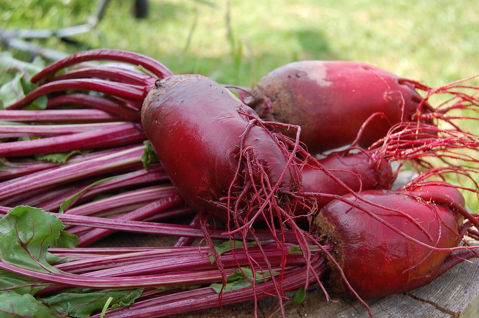 Detroit Beet