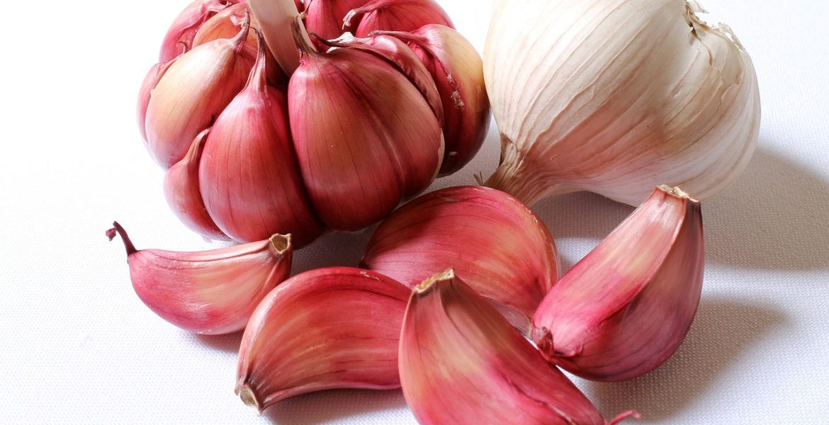 HEALTH BENEFITS OF GARLIC HEALTH BENEFITS OF GARLIC