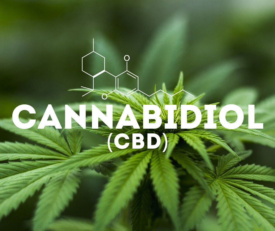 CBD Oil