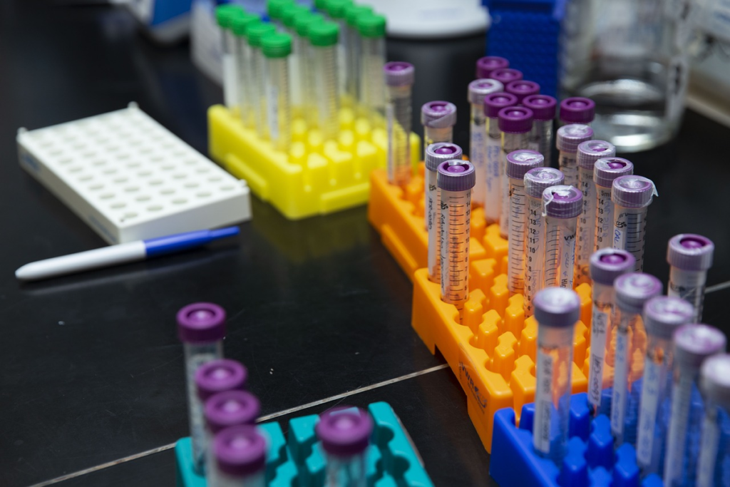 clinical studies